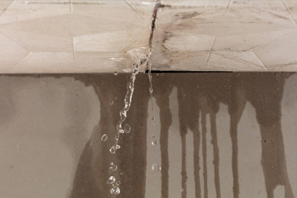 Professional Water Damage Repair technician working in Perkinston, MS